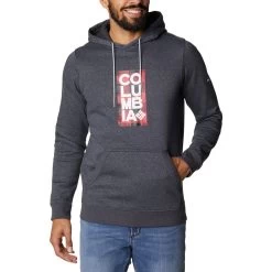 Columbia CSC Basic Logo II Sweatshirt Dunkelgrau