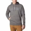 Columbia CSC Basic Logo II Hoodie Tafelgrau -Columbia Shop cl 1681664 032 001