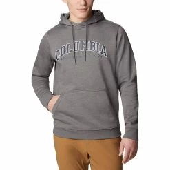 Columbia CSC Basic Logo II Hoodie Tafelgrau