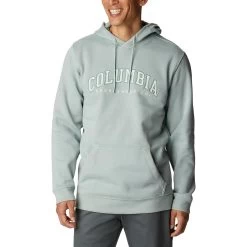 Columbia CSC Basic Logo II Hoodie Grau/weiß