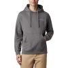 Columbia Viewmont II Sweatshirt Grau 1 Columbia Viewmont II Sweatshirt Grau -Columbia Shop cl 1821014 023 001