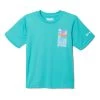 Columbia Grizzly Ridge Graphic Kinder T-Shirt Türkis -Columbia Shop cl 1989691 455 001