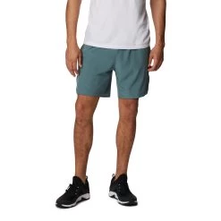 Columbia Alpine Chill Zero Shorts Blau-grau